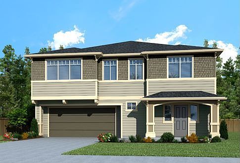Magnolia 6