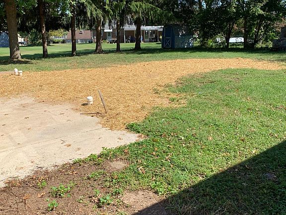 Concrete patio with flat rear backyard (freshly seeded)