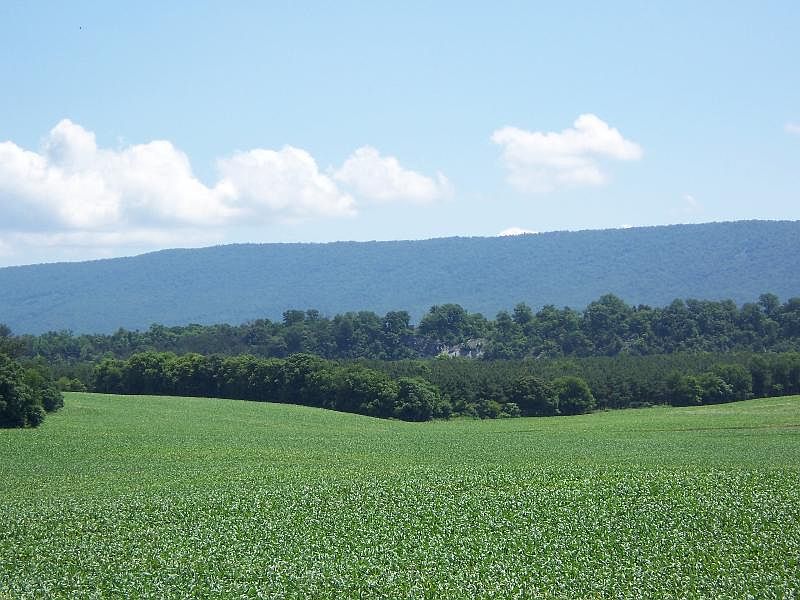 2nd image of 1914 River Rd
