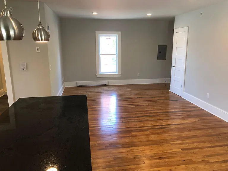 803 Williamson St #201 — Photo 6