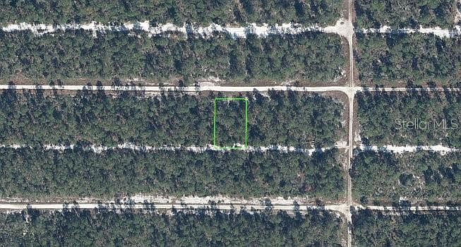 1st image of 613 PARAKEET AVENUE