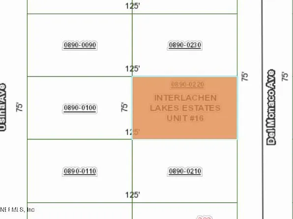 0220 DEL MONACO Avenue, Interlachen, FL 32148