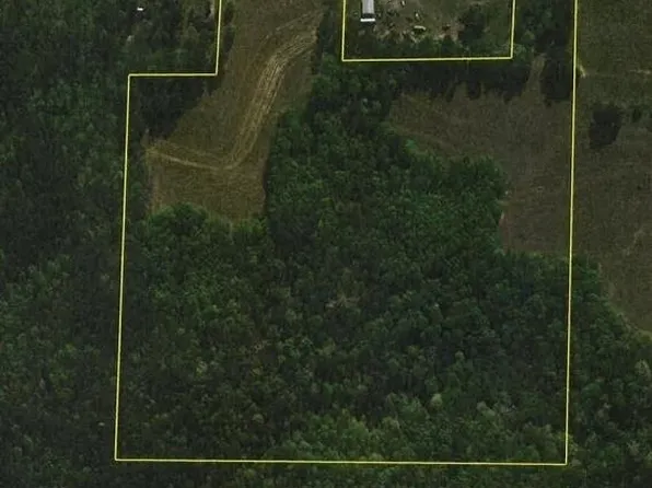 95 Highway, Abbeville, AL 36310
