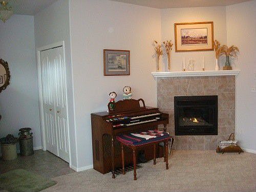 Gas Fireplace in Living Room