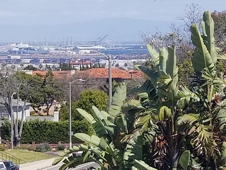 View from living room