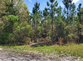 0 Bell Rd LOT 8, Lee, FL 32059 | MLS #115223 | Zillow