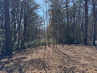 2nd image of 1 Laurel Ridge Rd