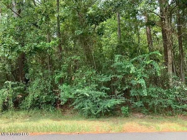 Ridgeview Dr Lot 619, Carriere, MS 39426