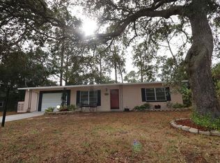 311 Alemander Ave, Debary, FL 32713