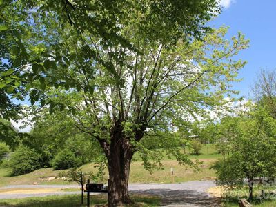 505 Mundy Field Rd, Canton, NC, 28716