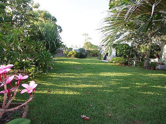 South End of Back Yard