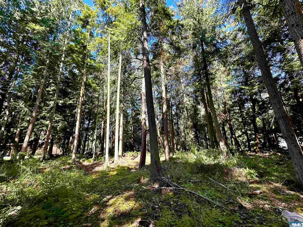 Nka Manzanita, Sequim, WA 98382