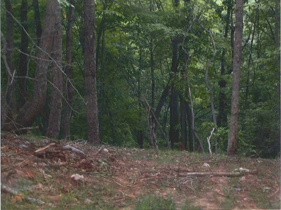 2nd image of Summerhouse Drive