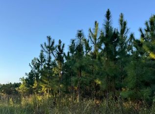 Tbd Sw Ichetucknee Ave, Lake City, FL 32024
