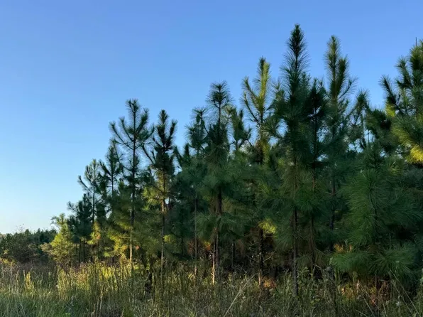 Tbd Sw Ichetucknee Ave, Lake City, FL 32024