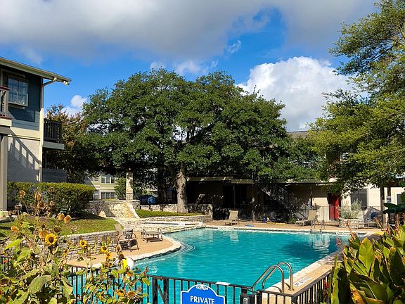 The pool is surrounded by a large old Oak tree, sunflowers and banana trees.