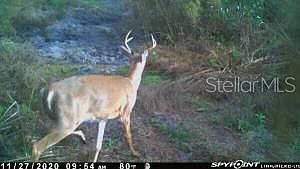 4th image of 43820 Redlands Dr