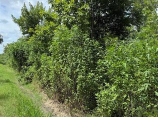 0 Pine St, Brazoria, TX 77422