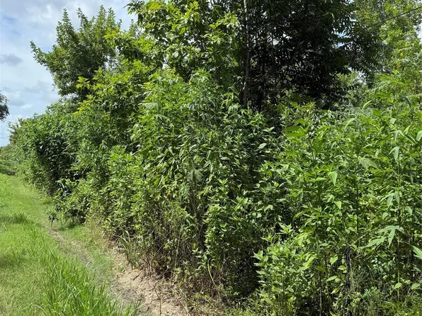 0 Pine St, Brazoria, TX 77422