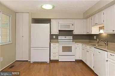 11556 Ivy Bush Ct — Photo 6