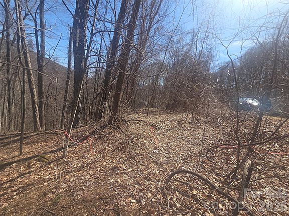 4th image of 820 Chestnut Flats Rd #4