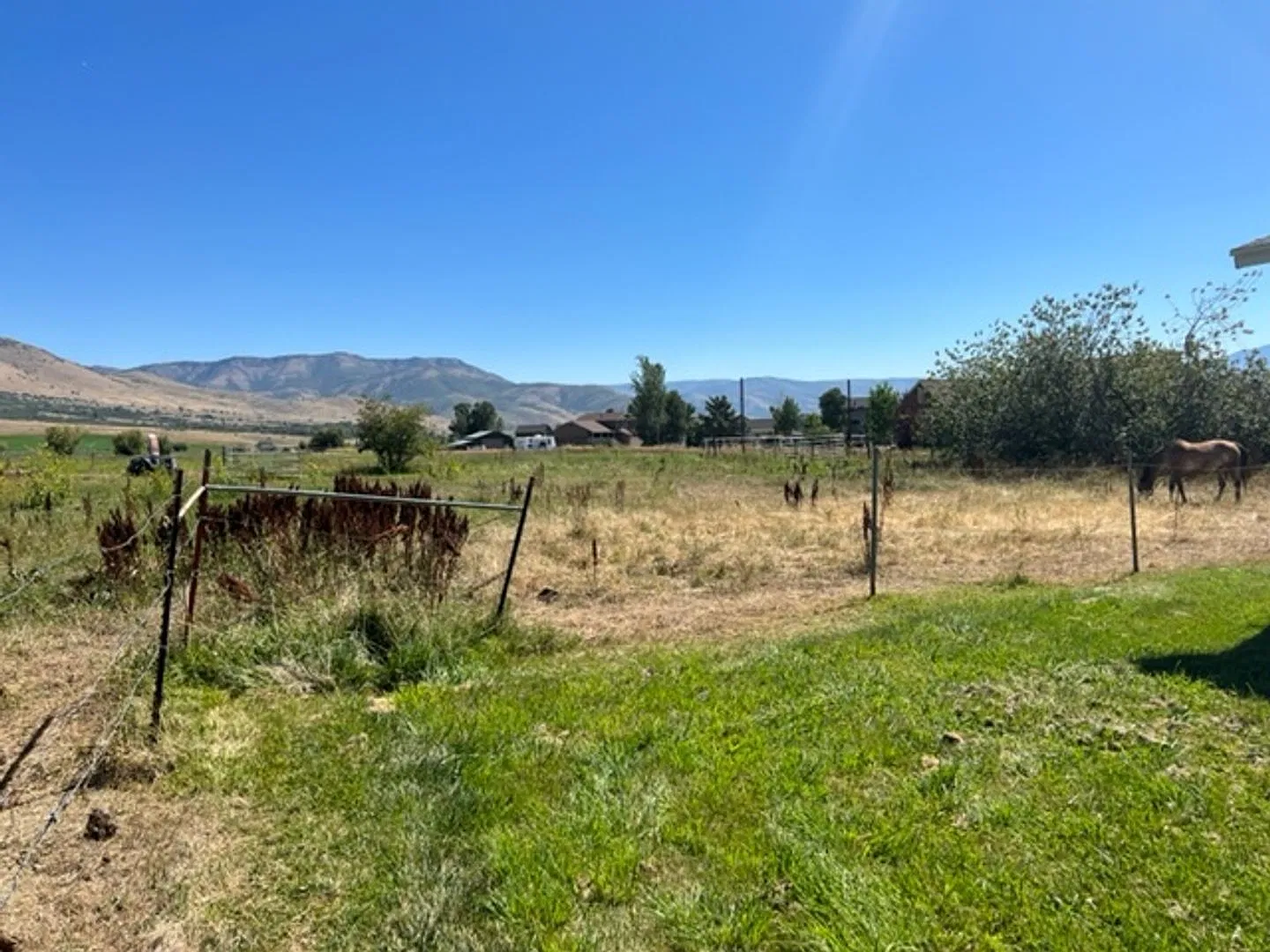 Home with Horse property close to park, new LVP flooring throughout — Photo 4
