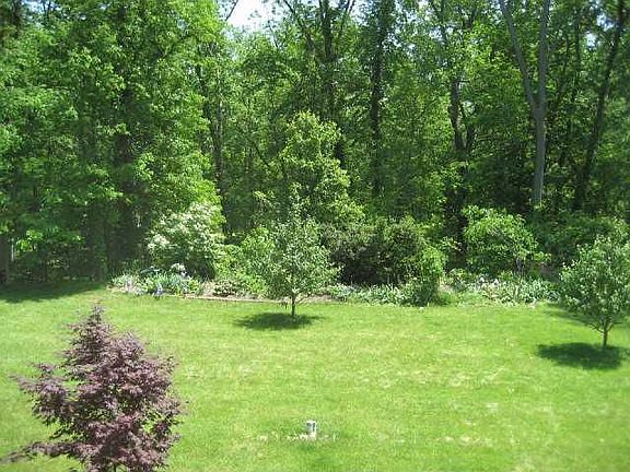Yard 3