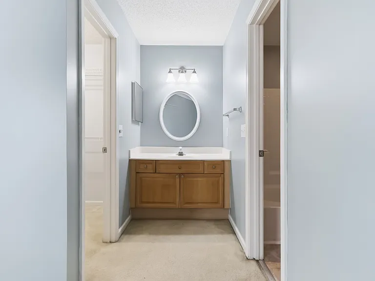 11536 Delores Ferguson Ln — Photo 23