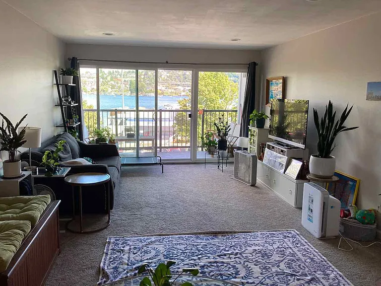 Living room (furnished)