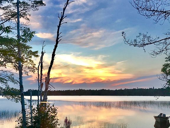 View from in the cabin 