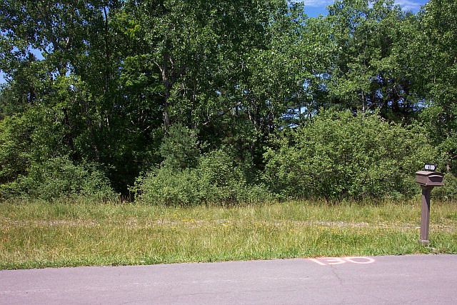 2nd image of 44 Scotch Pine Ln