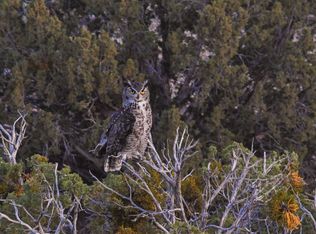 39 Chaparral Rd, Placitas, NM 87043
