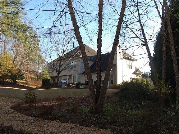 view from behind the pond