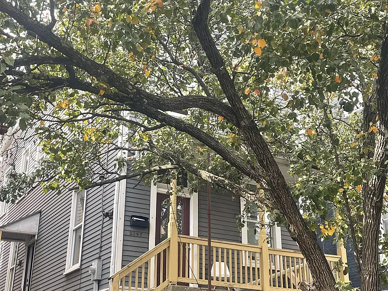2247 Wheeler St — Photo 1