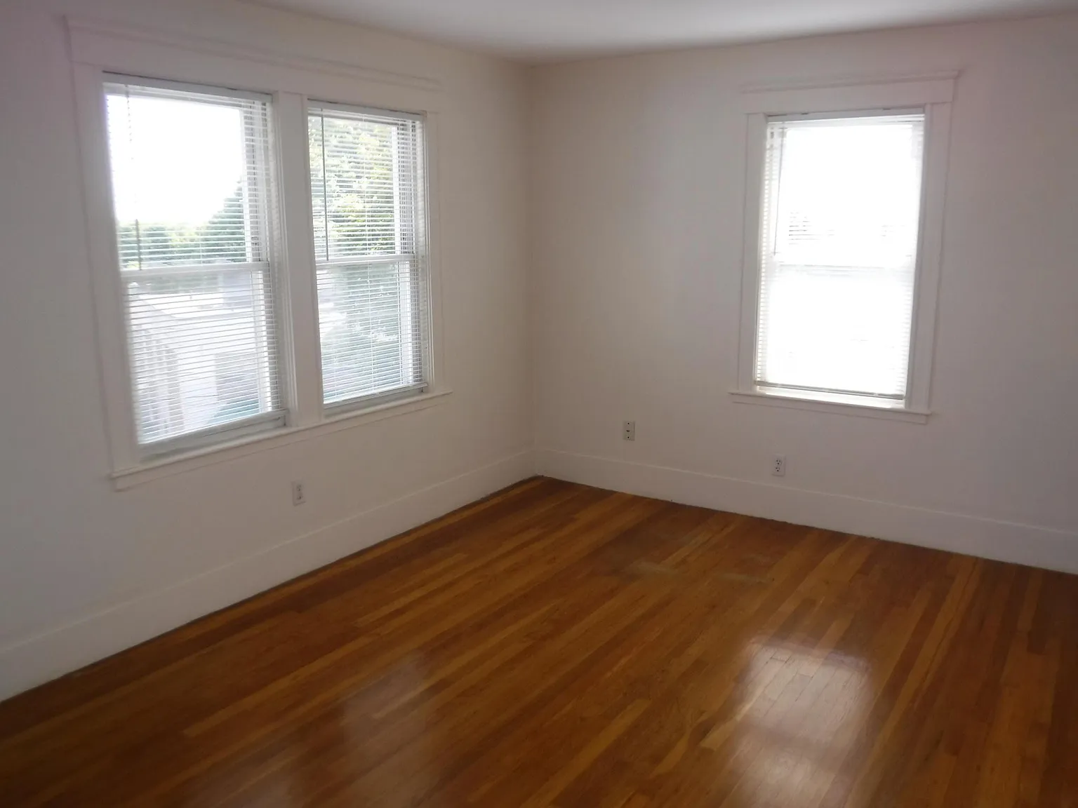1 bed, $1,850 — Photo 3