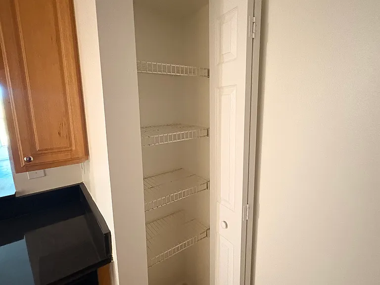 Kitchen pantry