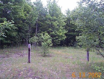 0 Deward Rd, Frederic, MI, 49733