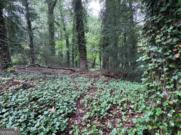 0 Green Rd, Jasper, GA 30143