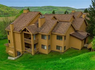 B102 Snowpine Vlg, Ellicottville, NY 14731