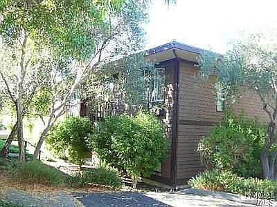 Nestled in the trees