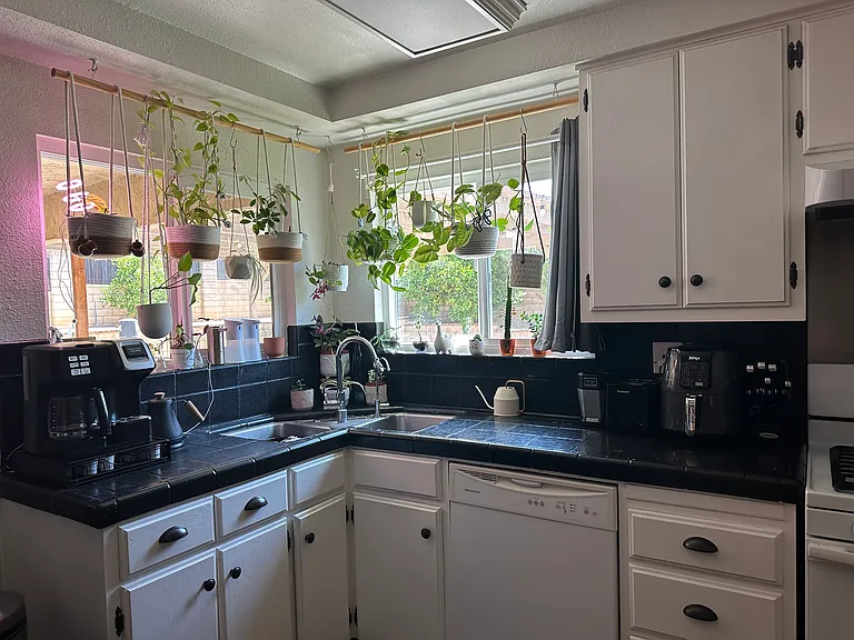 Lemon Crest Dr — Photo 6