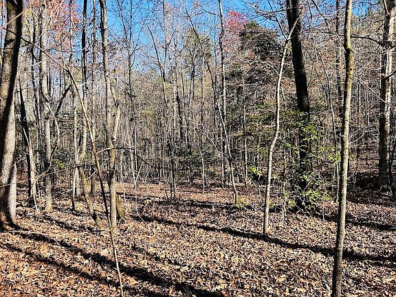 5th image of 0 Rocky Mount Rd