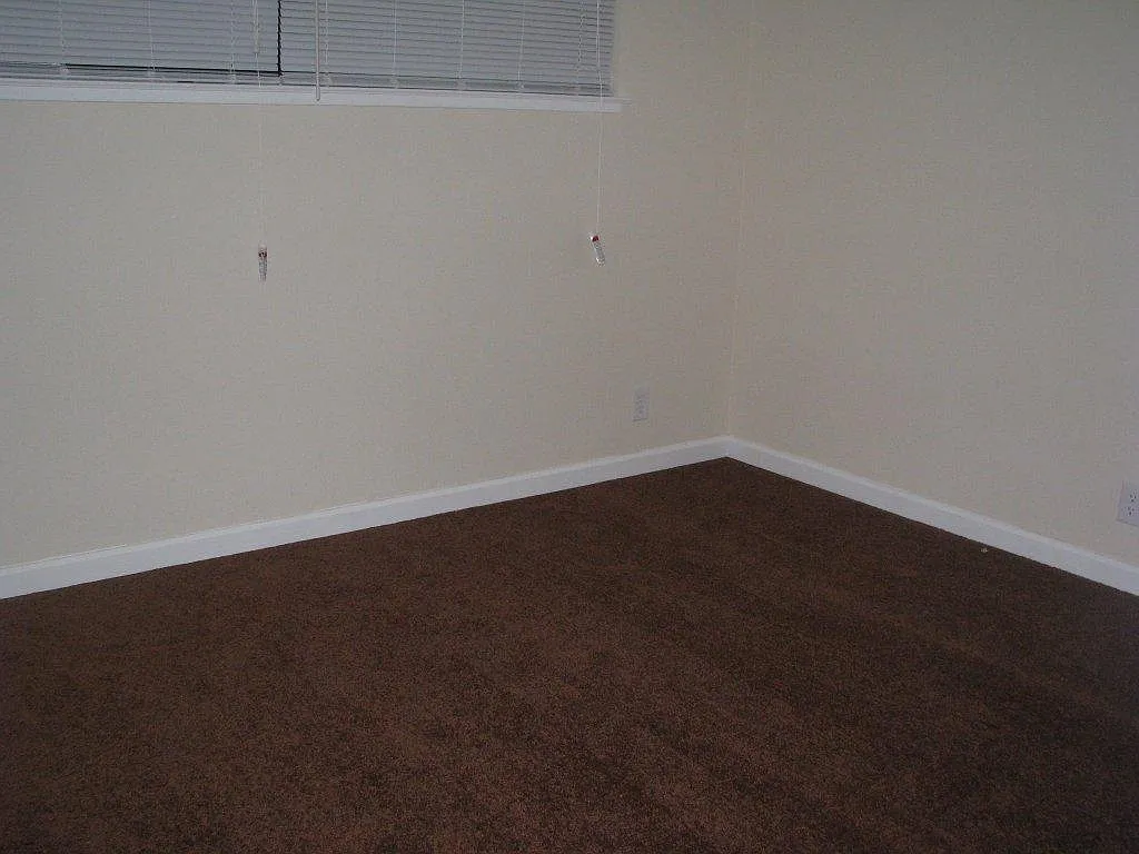 899 Hillside Blvd — Photo 4