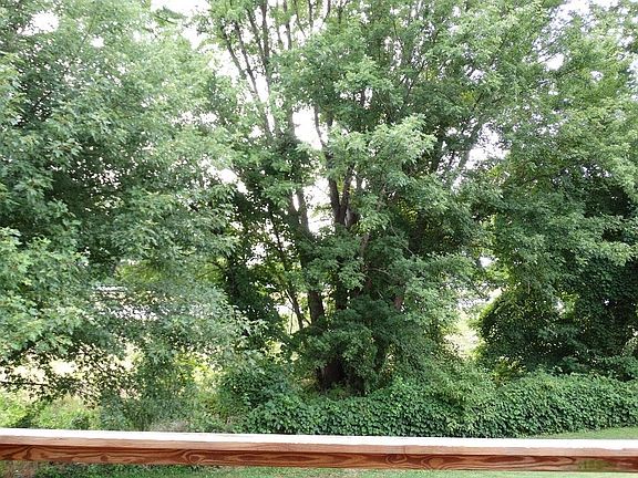 View from Deck