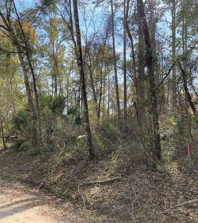2nd image of Xx Neeley Rd