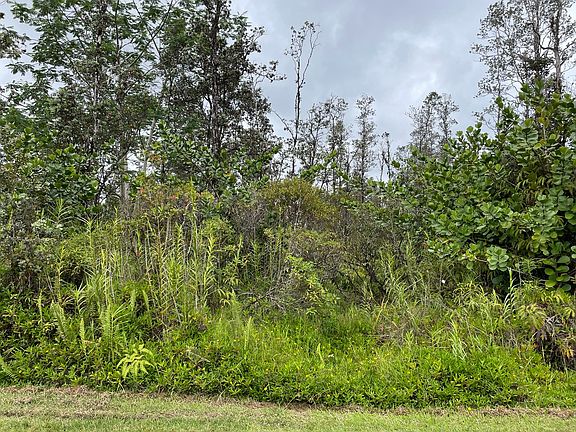 2nd image of Plumeria Dr Lot 62