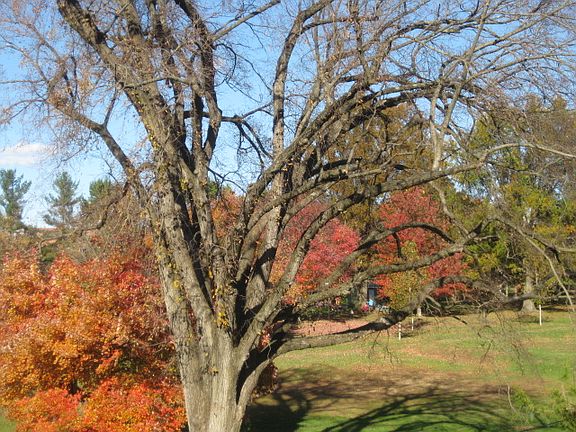 View From Master BR Deck