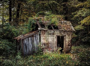 197 Alum Springs Rd, Basye, VA 22810