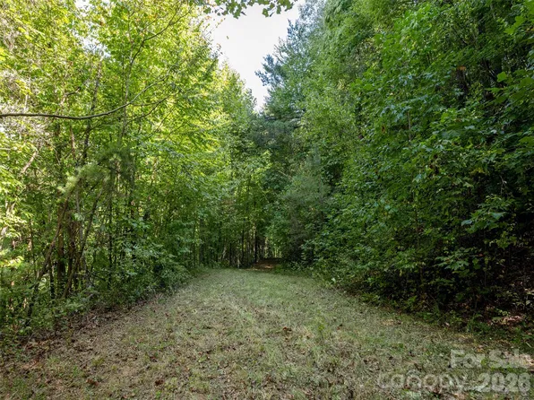 0 Newfound Rd, Leicester, NC 28748