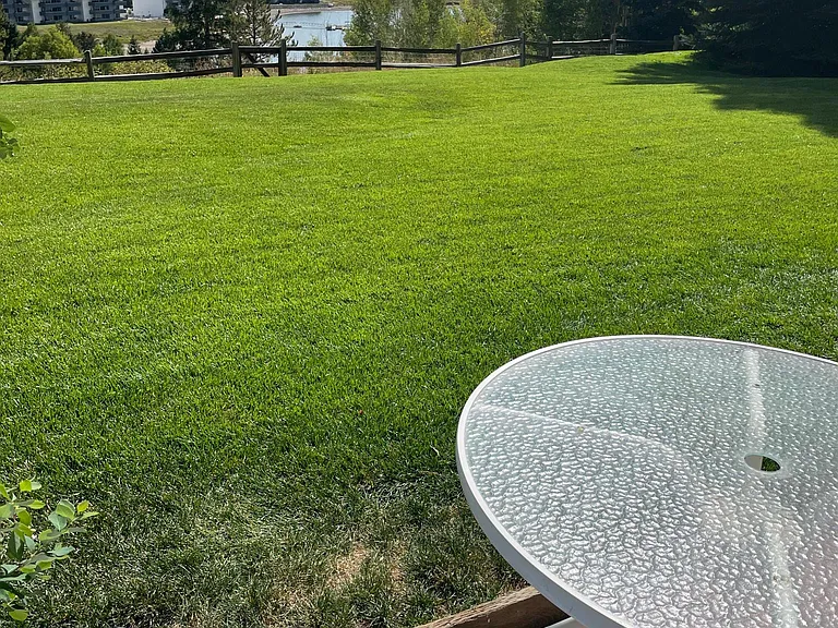 Common fenced-in backyard for complex (4 units).